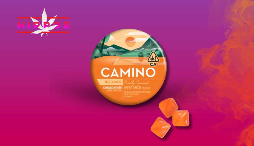 Camino Gummies