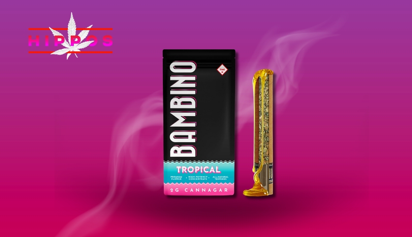 Product Spotlight Bambino